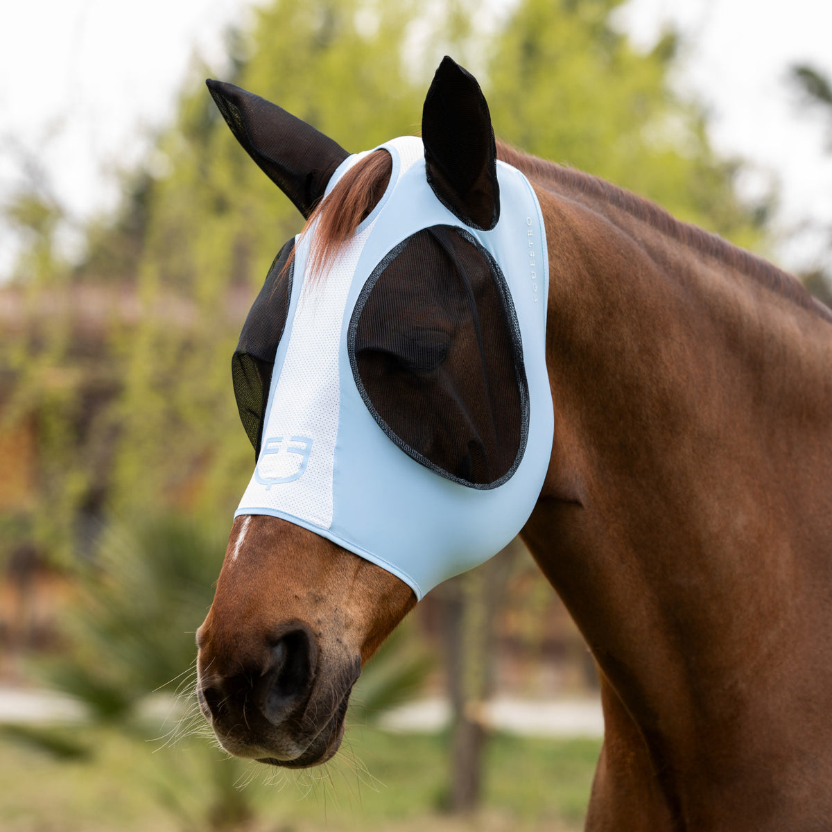 Equestro Two Tone Mesh Anti-Fly Mask