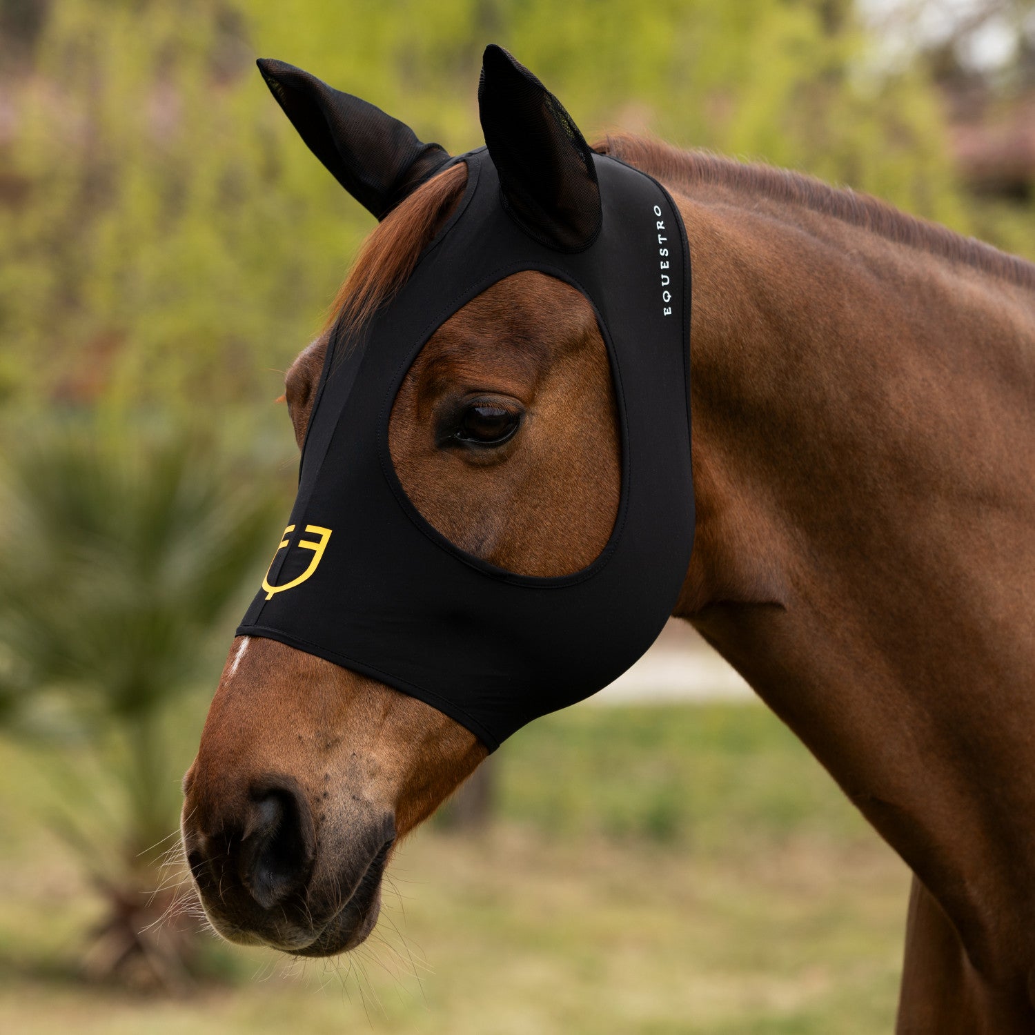 Elastane fly mask without eye net.