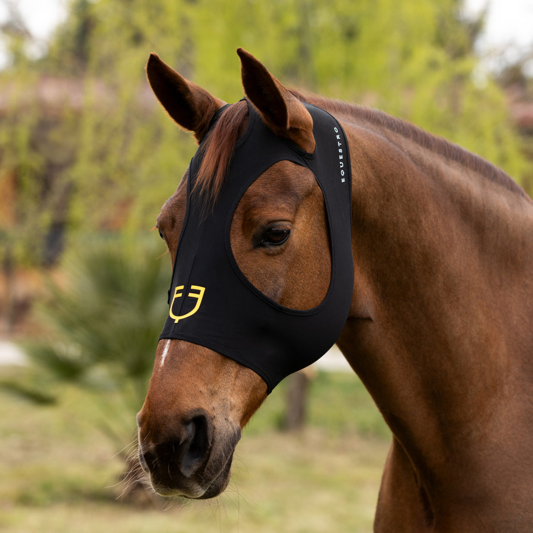 Elastan anti-fly mask without ears and eye net.