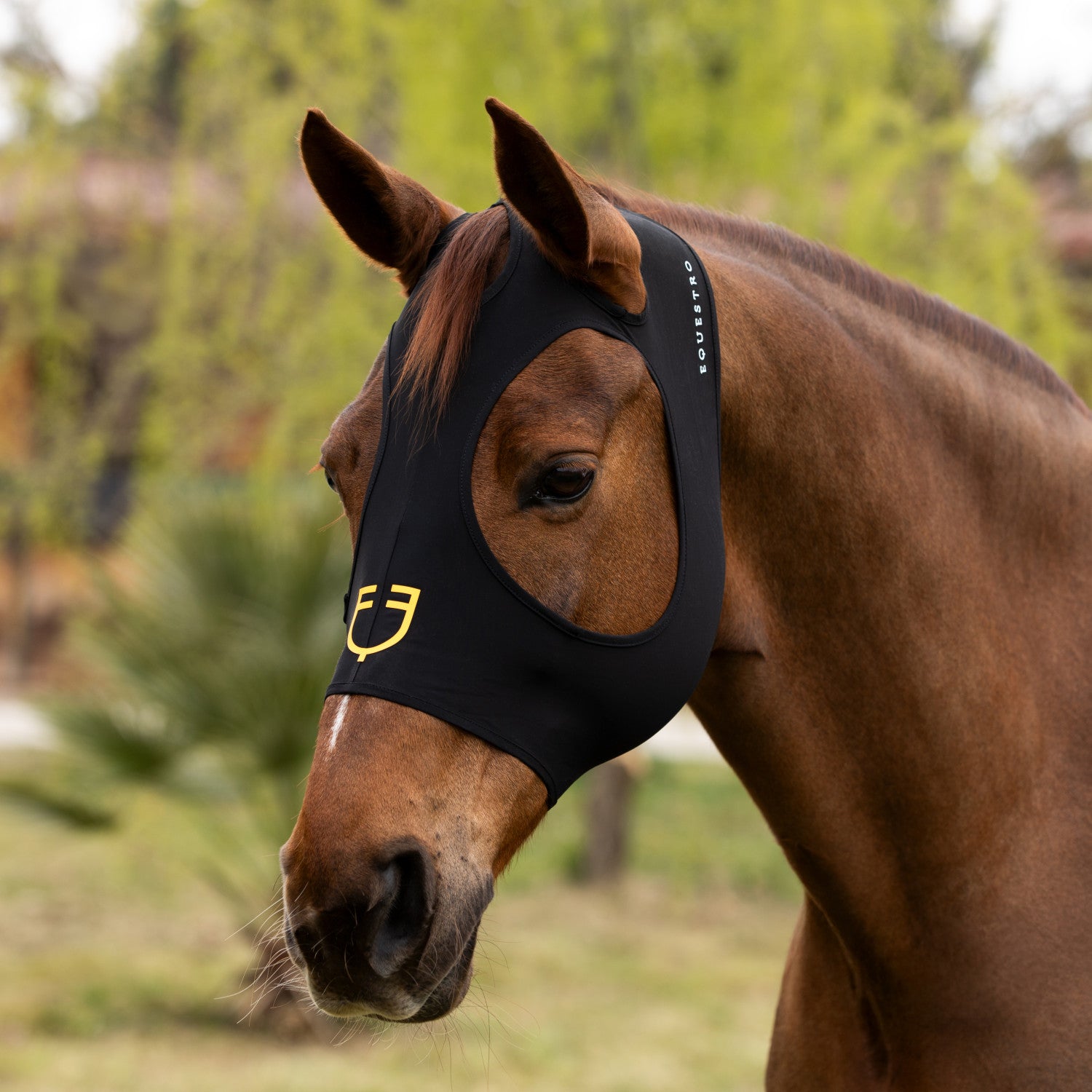 Elastan anti-fly mask without ears and eye net.
