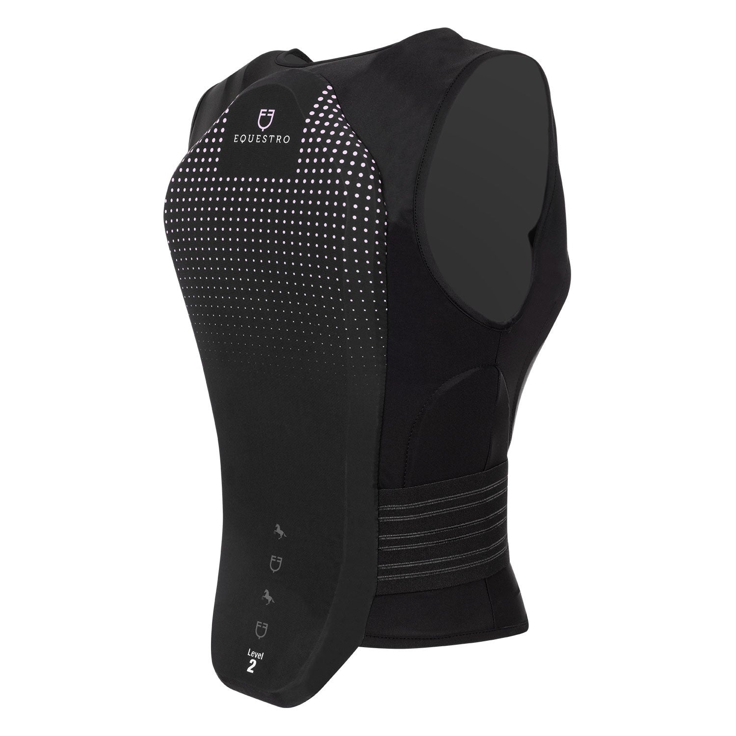 Adult level 2 back protector.