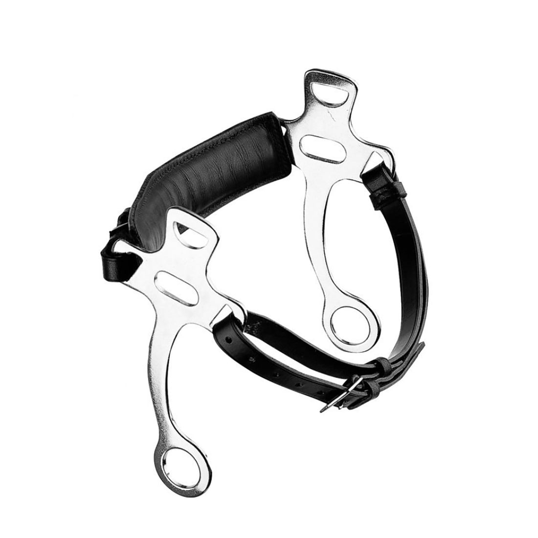 HACKAMORE BLACK.