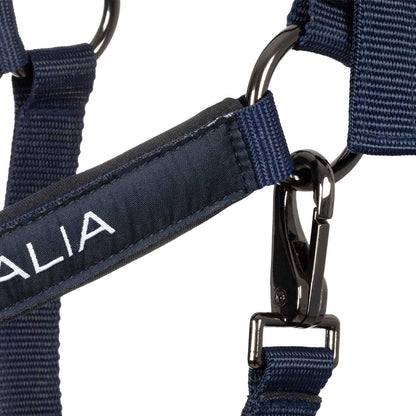 Equestro X FISE Padded Halter double Adjustment