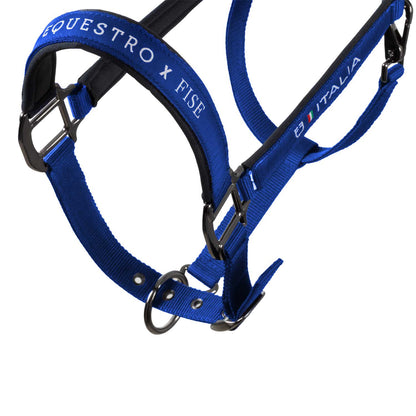 Equestro X FISE Padded Halter double Adjustment