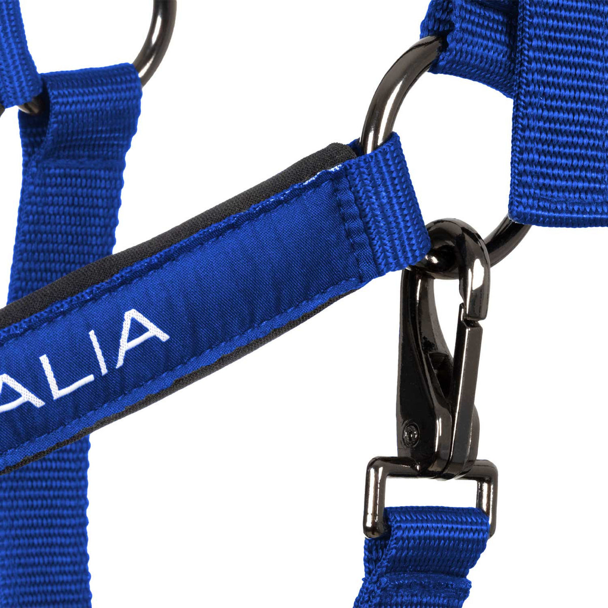 Equestro X FISE Padded Halter double Adjustment