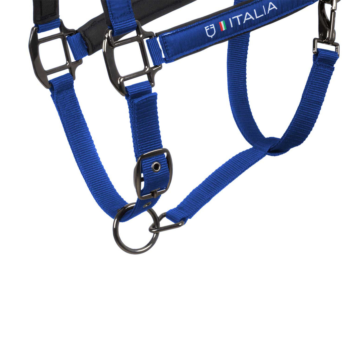 Equestro X FISE Padded Halter double Adjustment