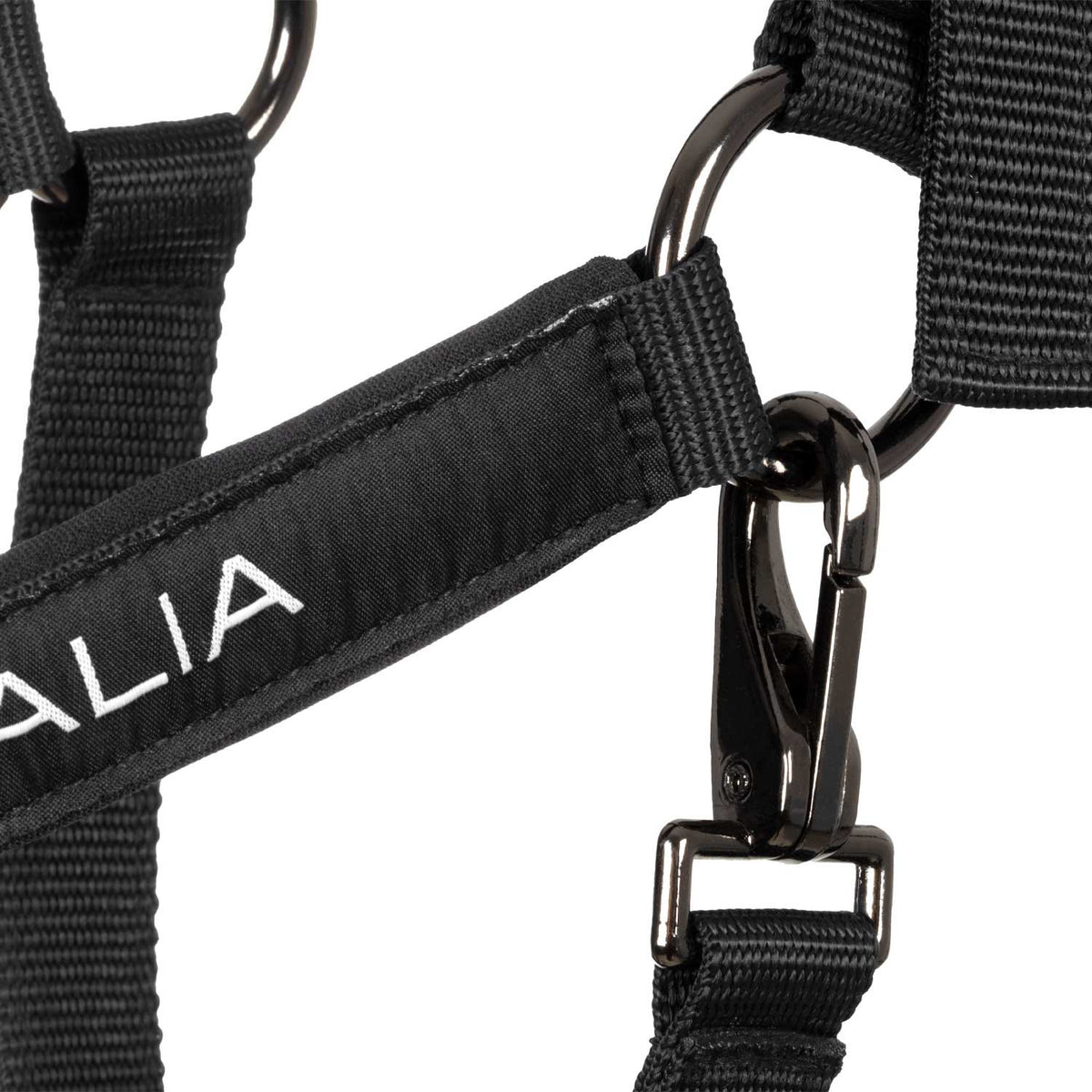 Equestro X FISE Padded Halter double Adjustment