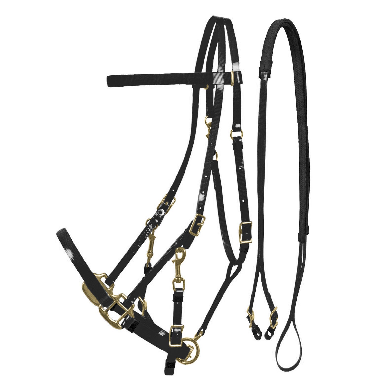 LAKOTA BIOTHANE HALTER-BRIDLE.
