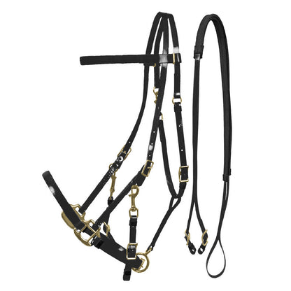 LAKOTA BIOTHANE HALTER-BRIDLE.