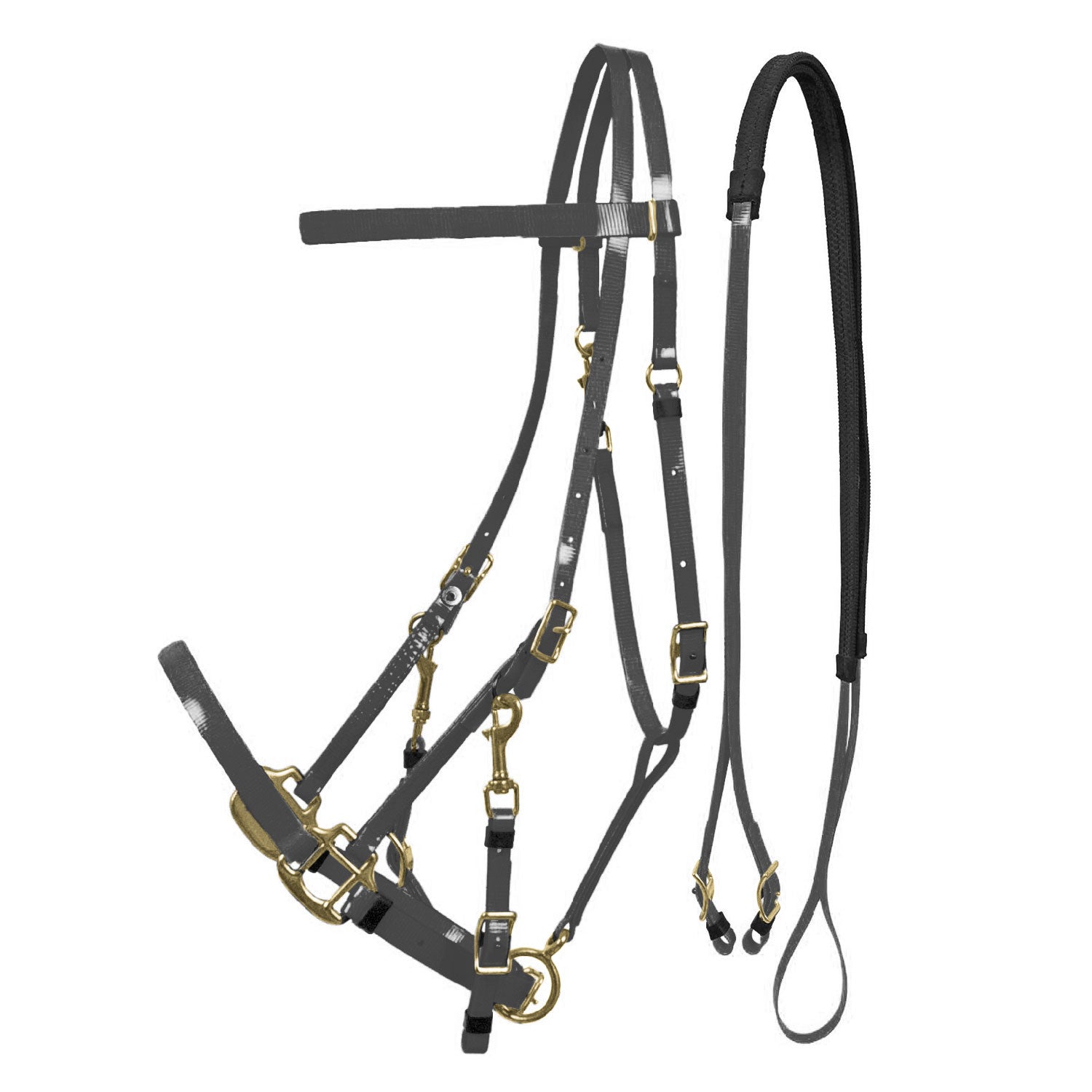 LAKOTA BIOTHANE HALTER-BRIDLE.