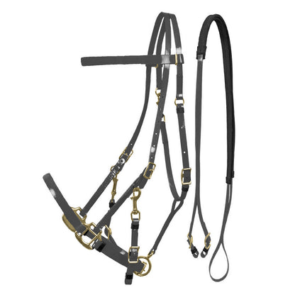 LAKOTA BIOTHANE HALTER-BRIDLE.