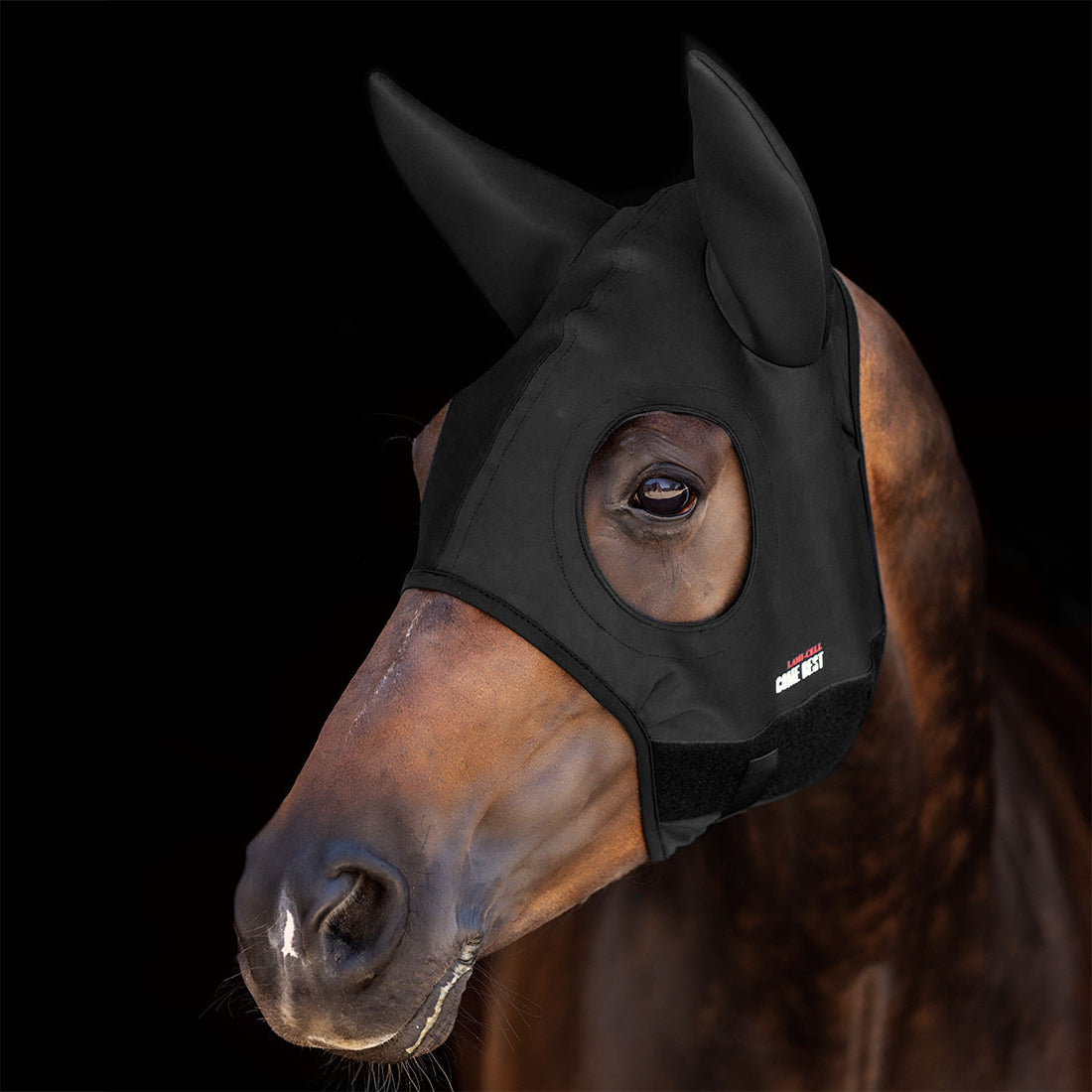 TITANIUM MASK COME BEST WITH EARS.