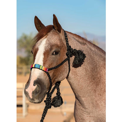 COWBOY BRAIDED HALTER.