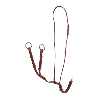 Leather adjustable buckle collier martingale.