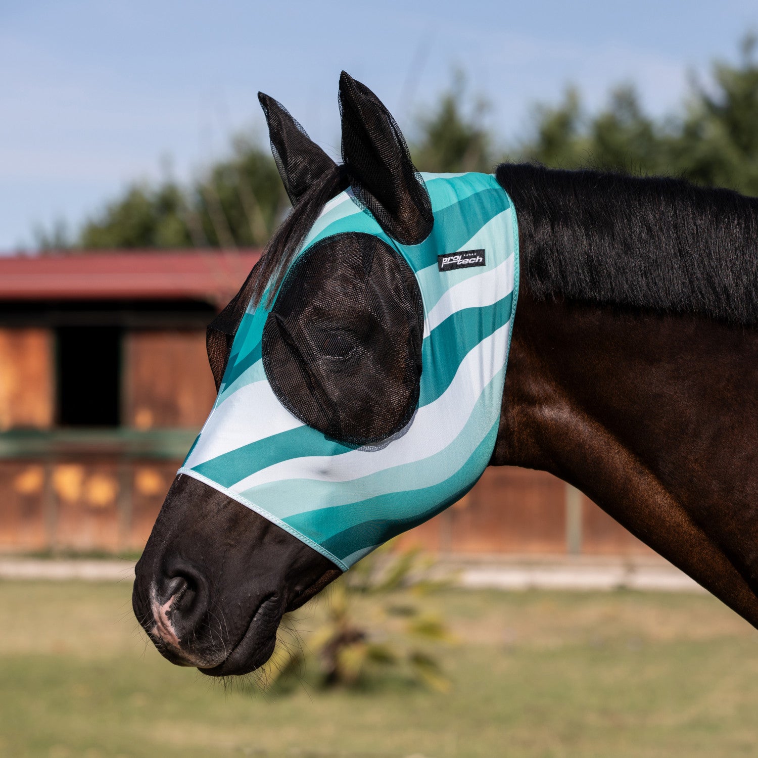 Anti-fly mask with ear cover net.