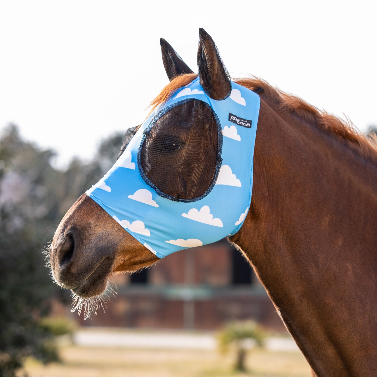 Anti-fly mask with ear cover net.