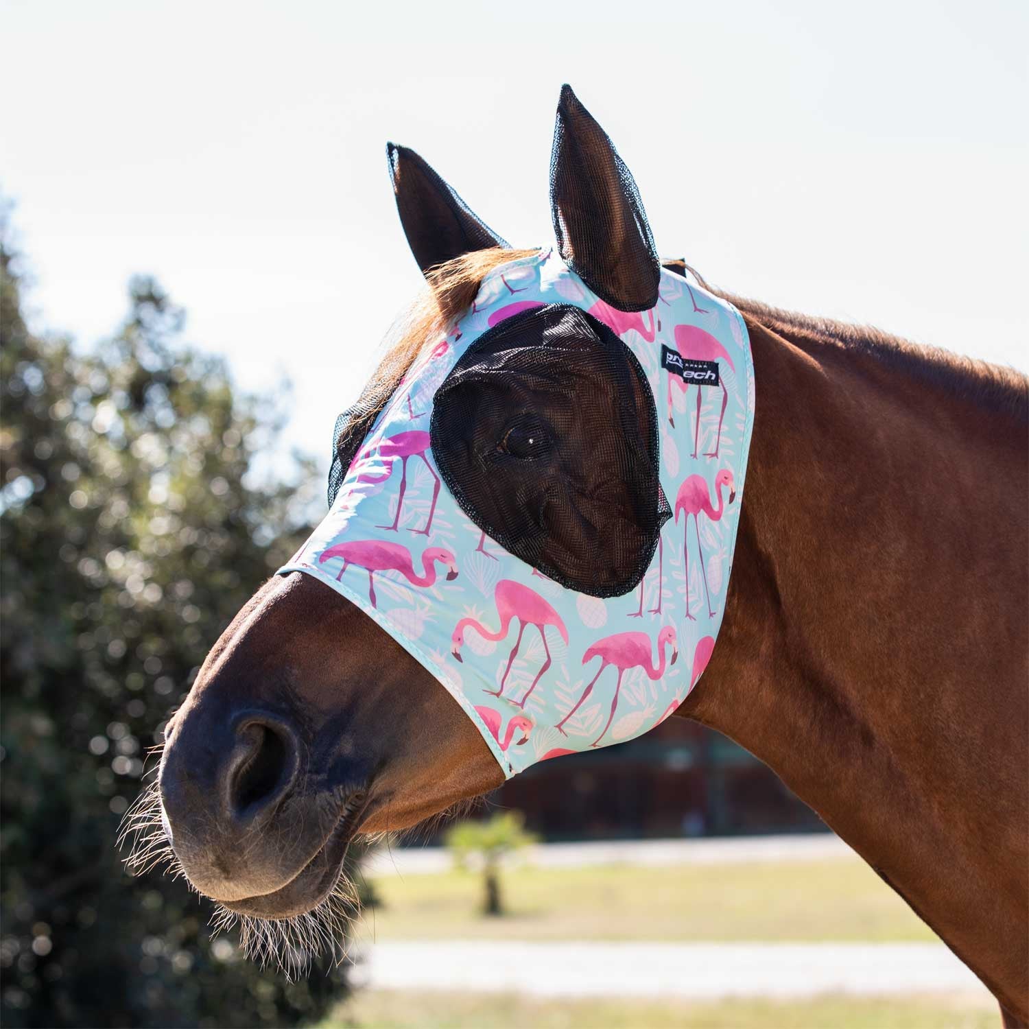 Anti-fly mask with ear cover net.