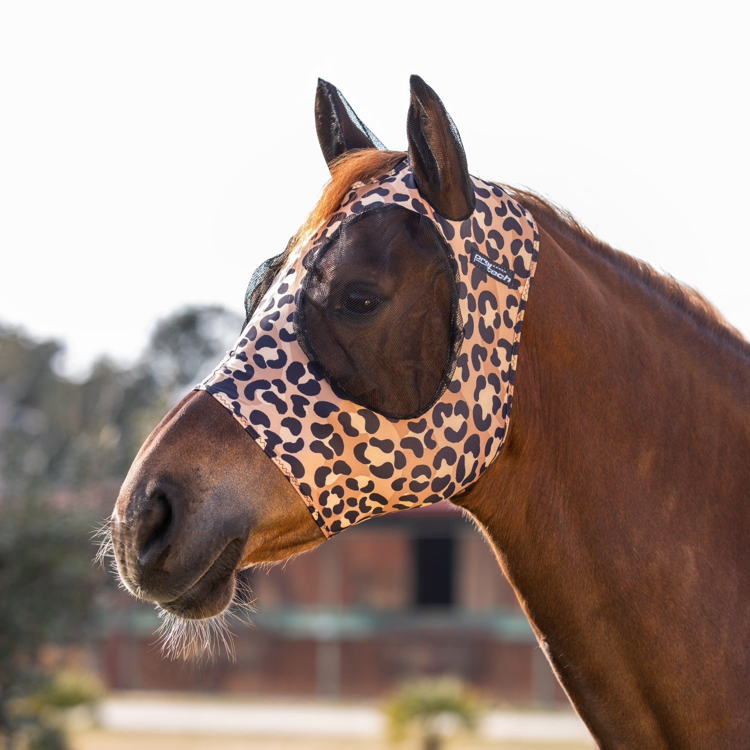 Anti-fly mask with ear cover net.