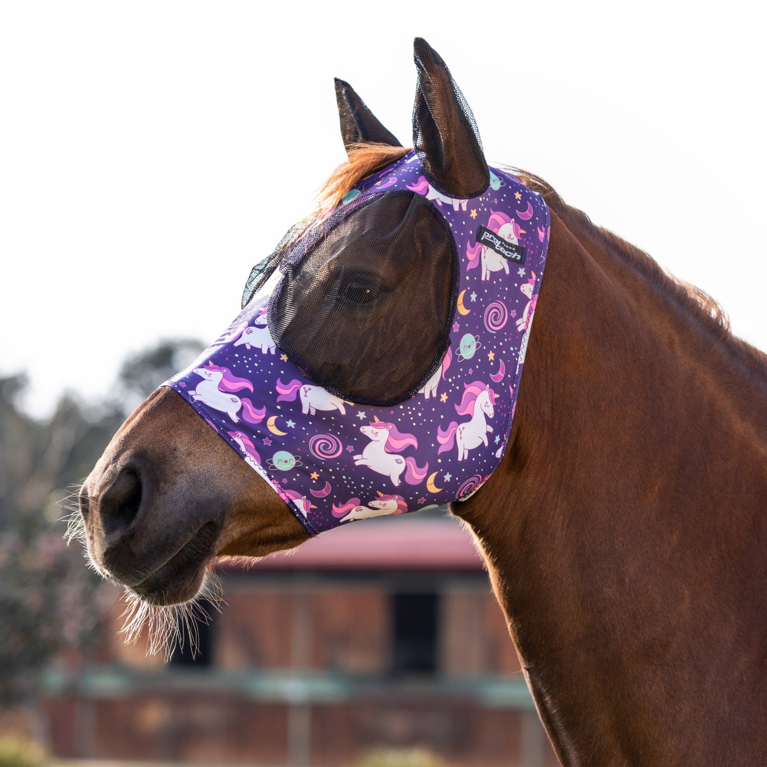 Anti-fly mask with ear cover net.