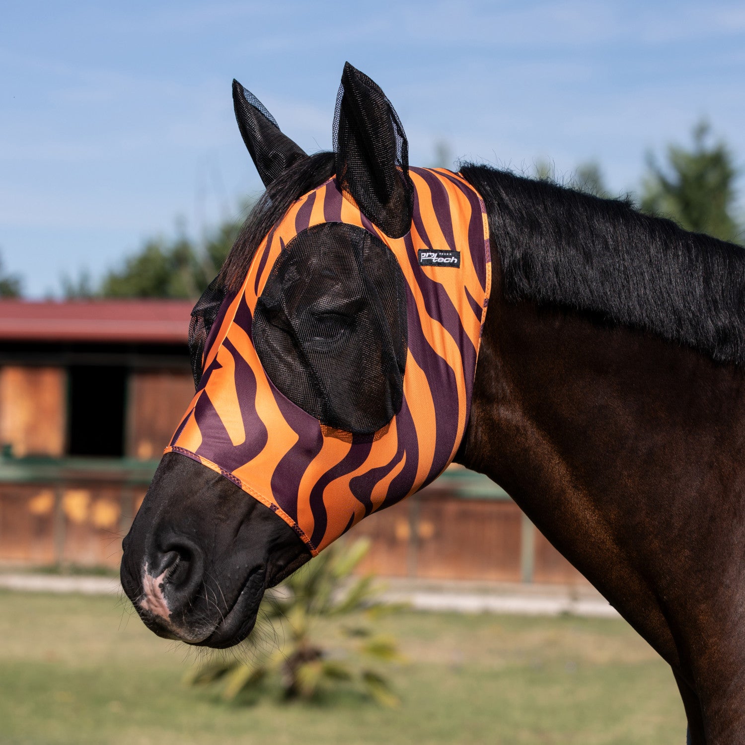 Anti-fly mask with ear cover net.
