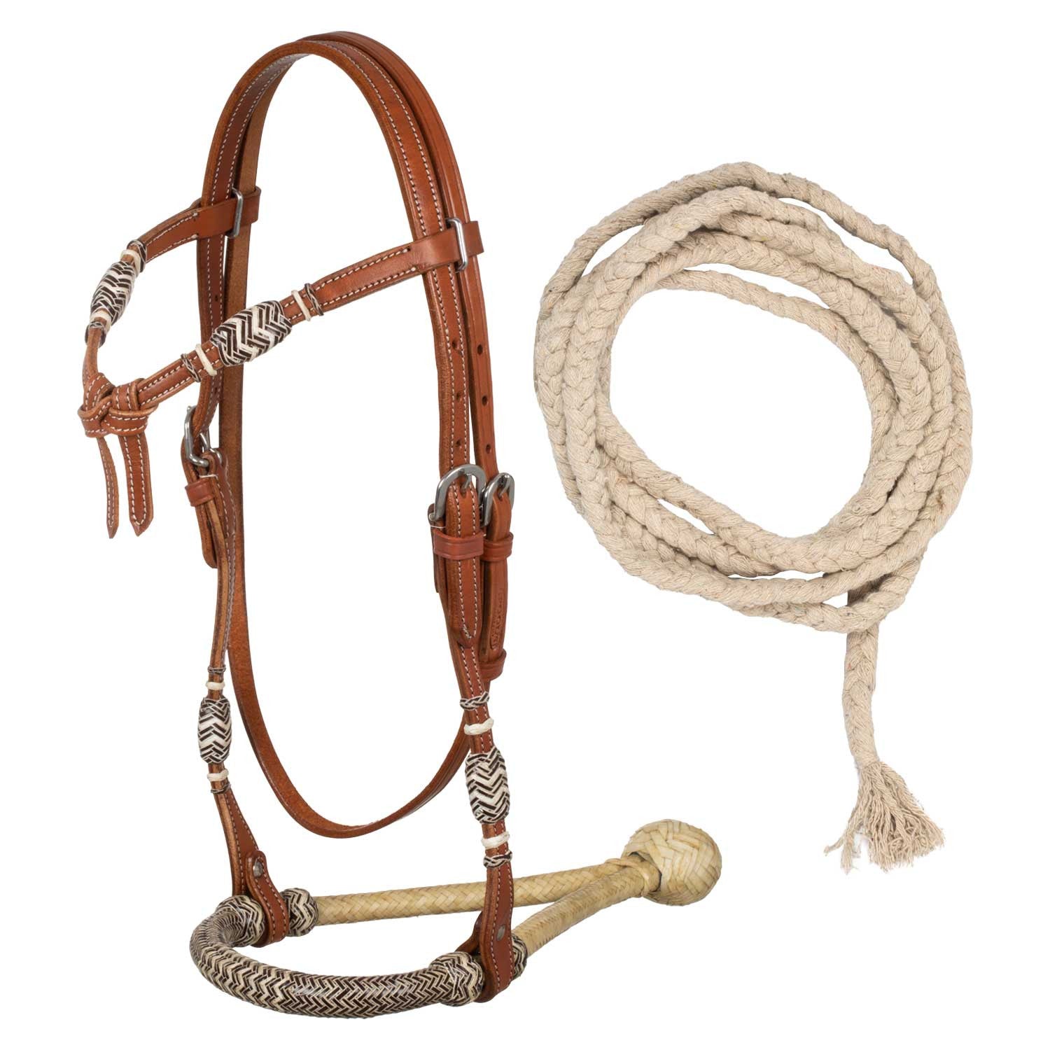 Rawhide core bosal set with cotton mecate reins.