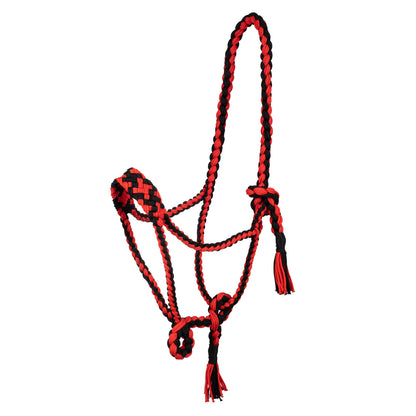 Braided nylon halter.