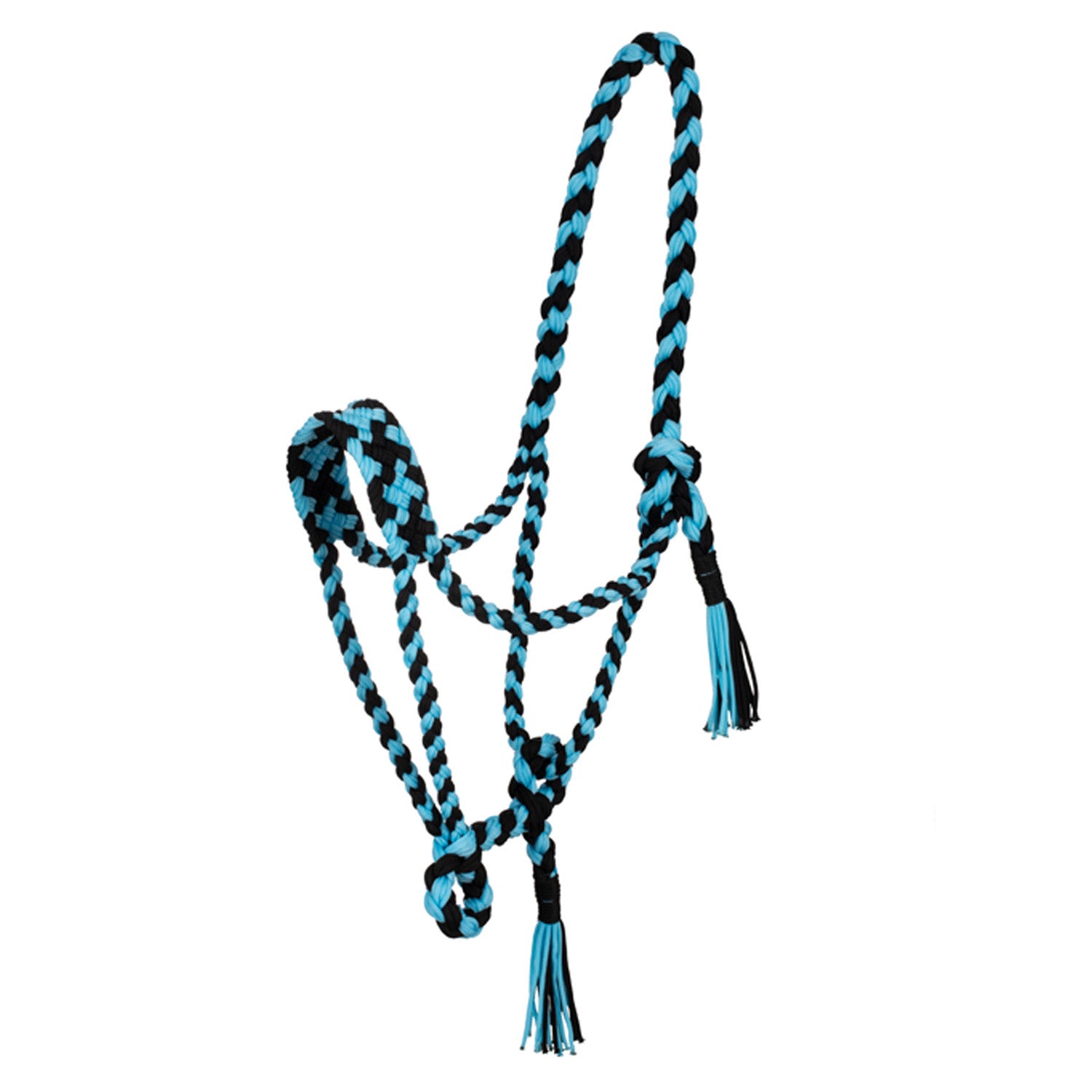 Braided nylon halter.