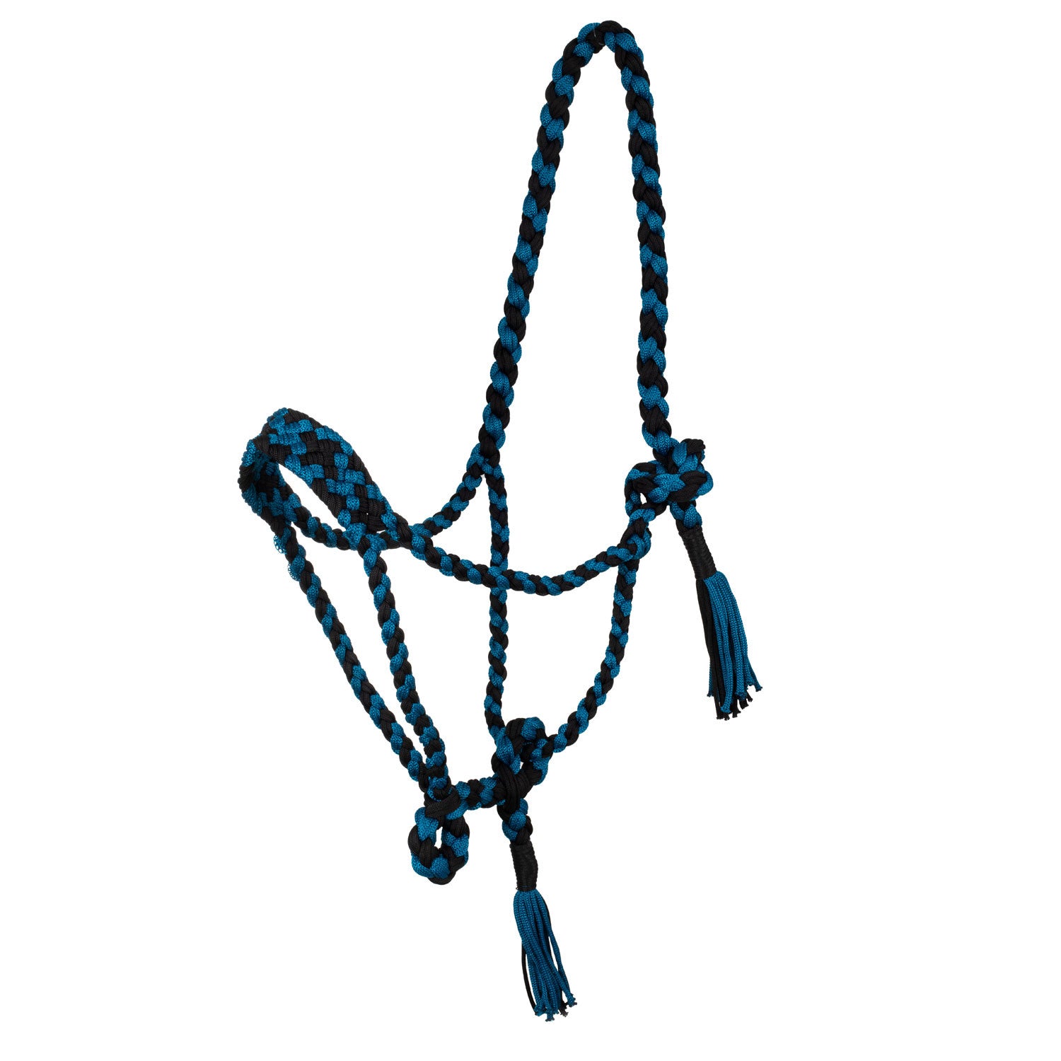 Braided nylon halter.