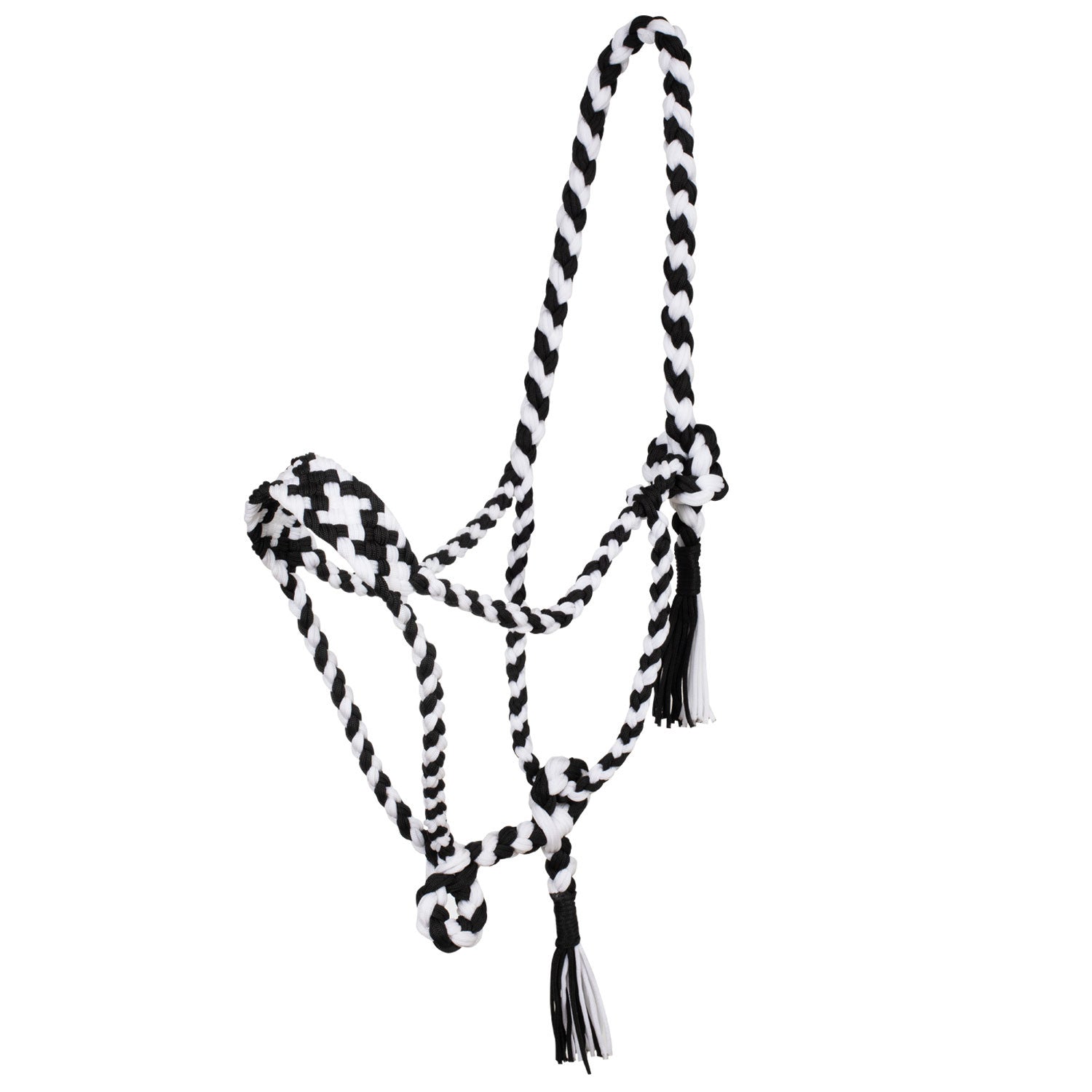 Braided nylon halter.