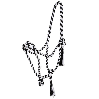 Braided nylon halter.
