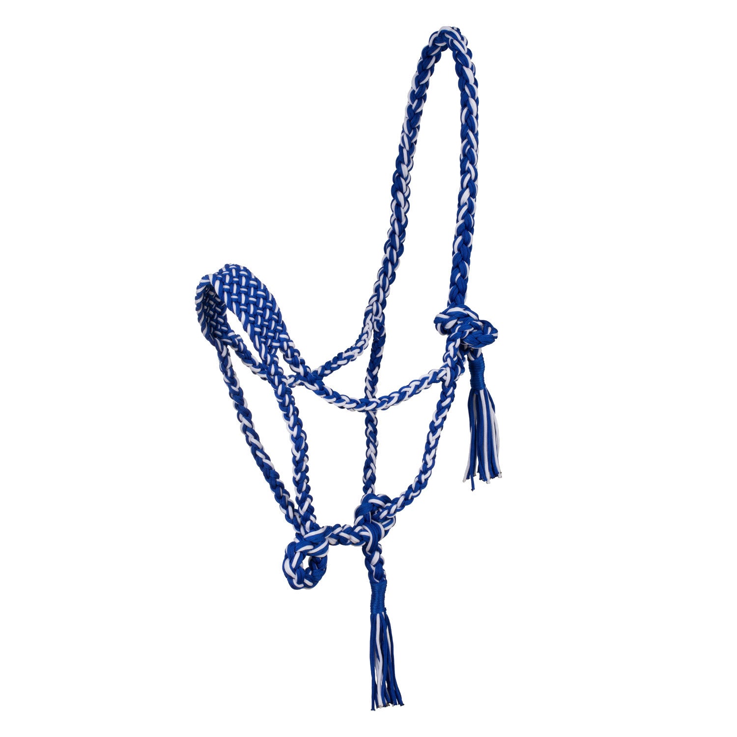 Braided nylon halter.