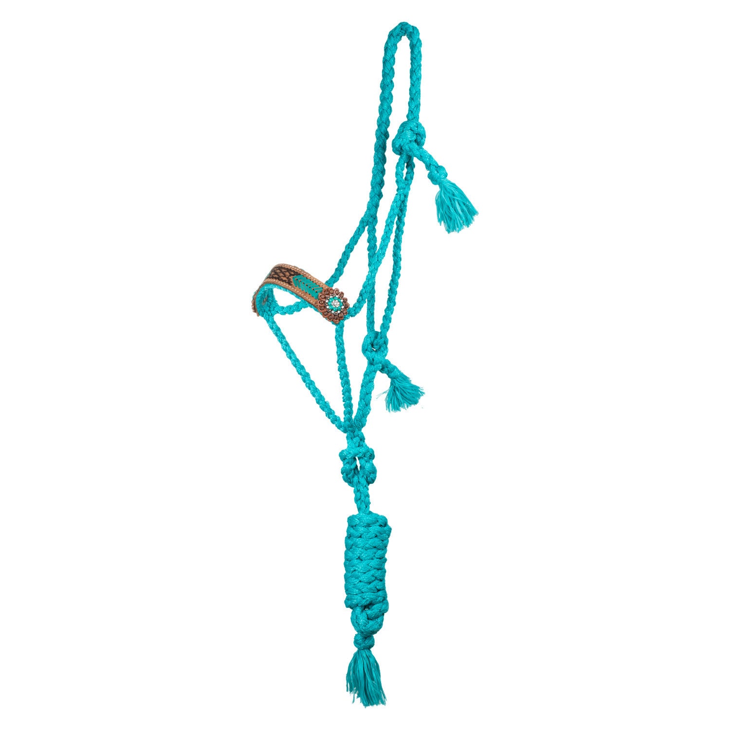 Rope halter with hand-worked leather insert.