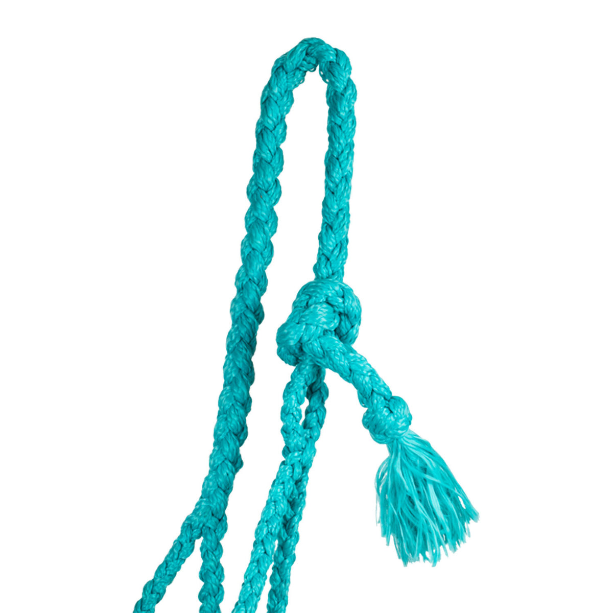 Pool&