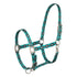 Navajo design nylon halter.