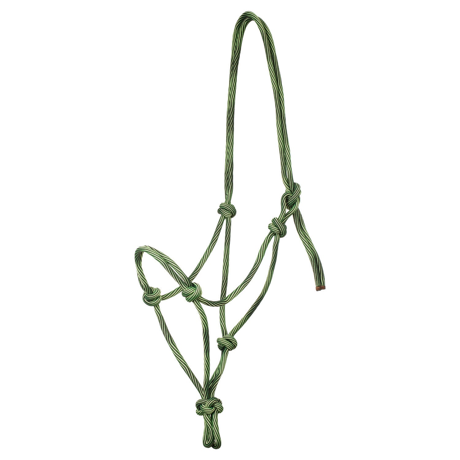 Adjustable knotted rope halter.