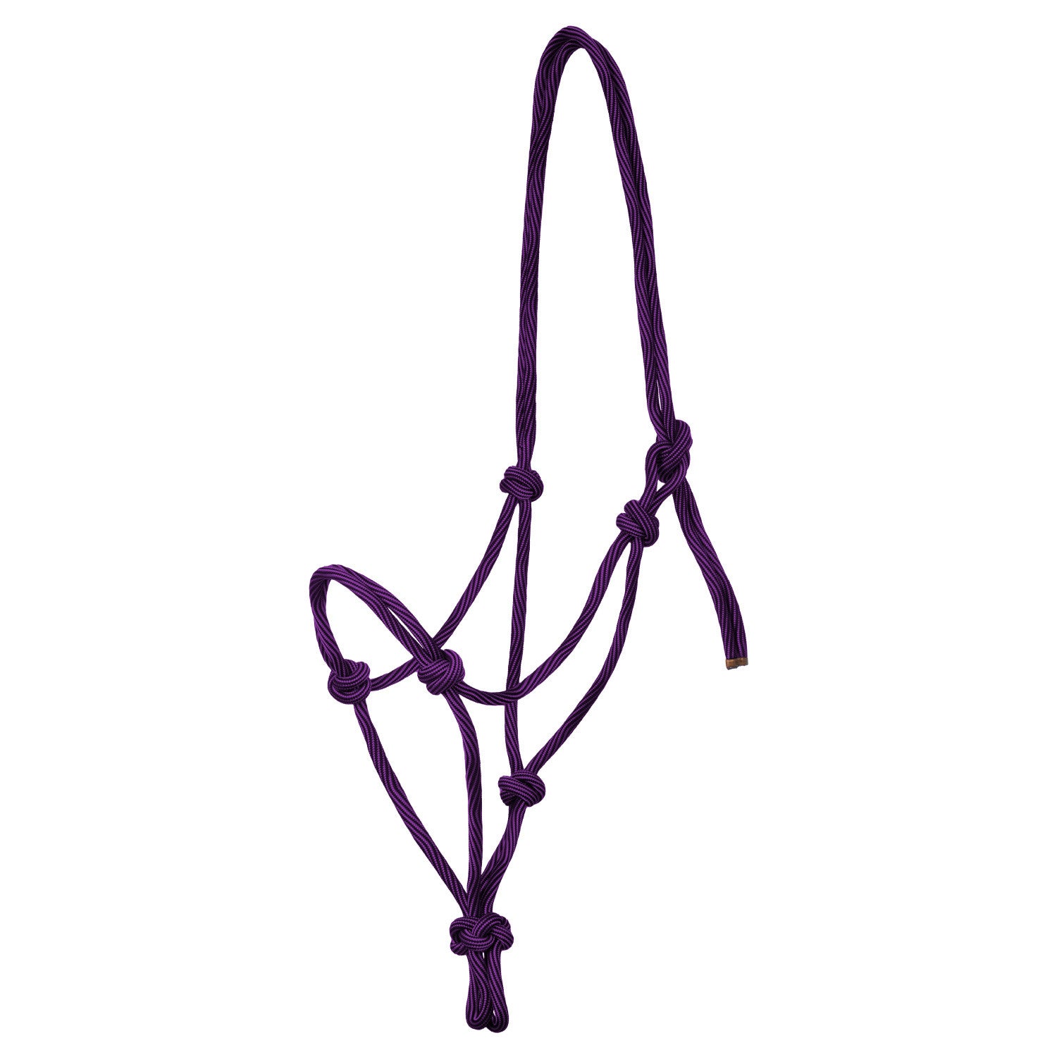 Adjustable knotted rope halter.