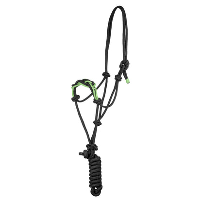 Halter with braided rope on the nose.