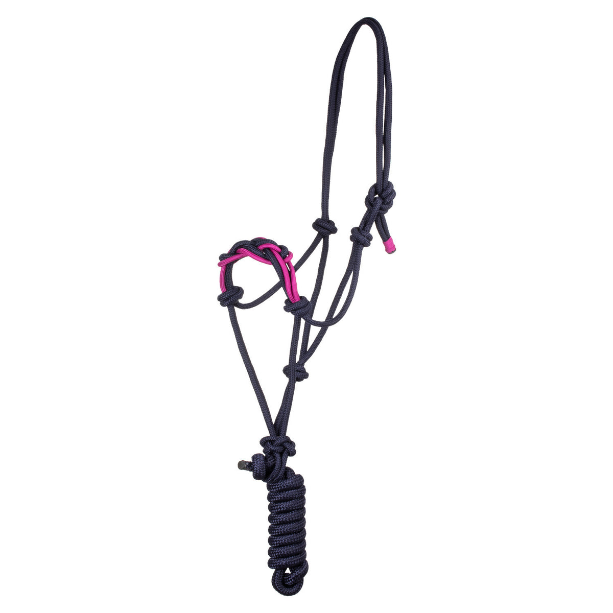 Pool&