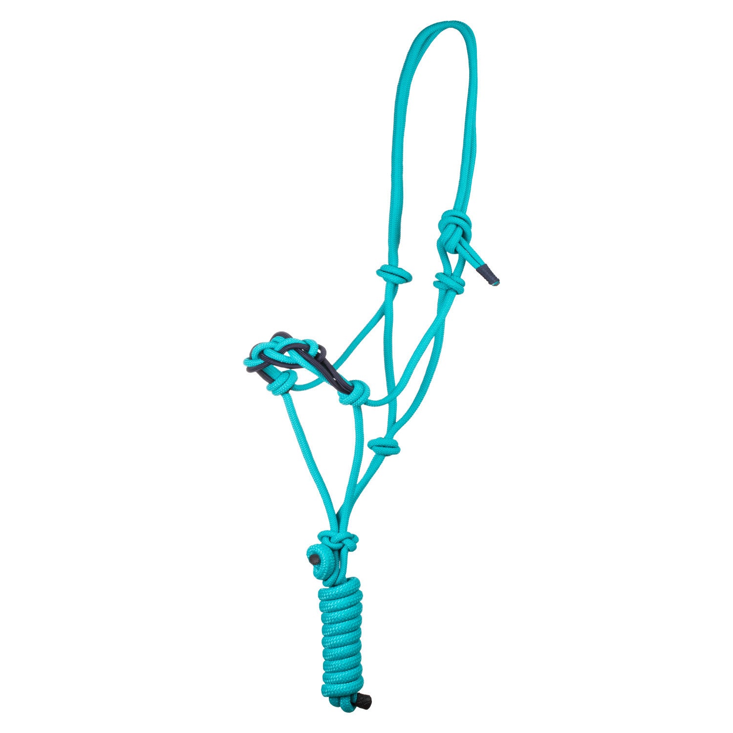 Halter with braided rope on the nose.