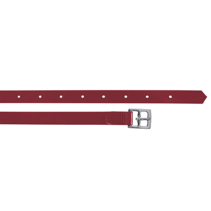 BIOTHANE STIRRUP STRAPS