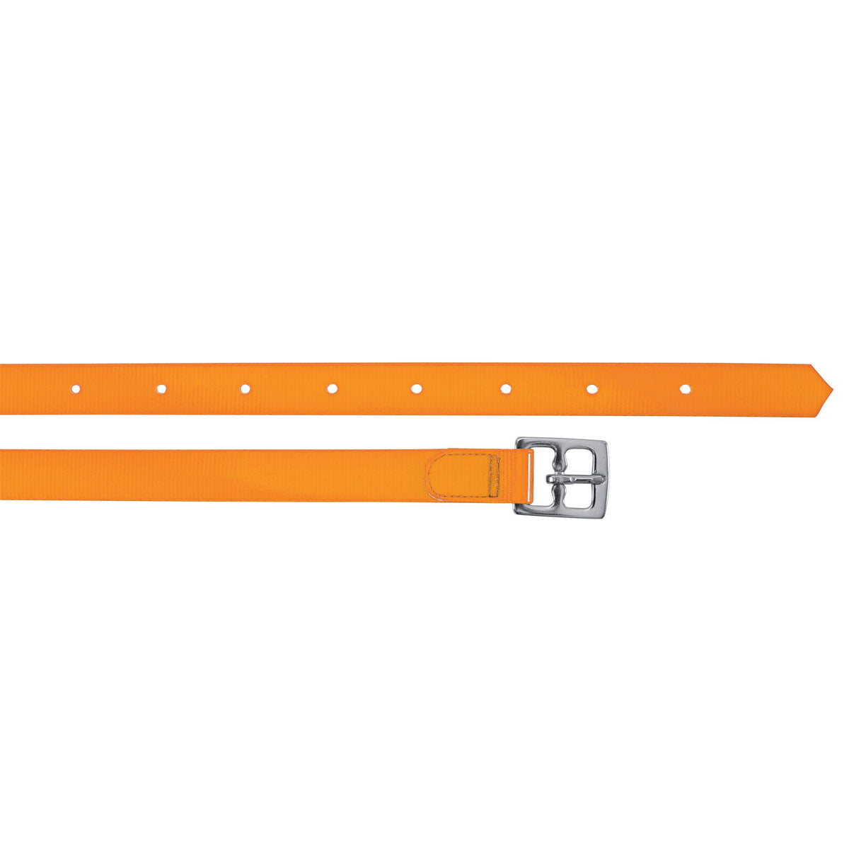 BIOTHANE STIRRUP STRAPS