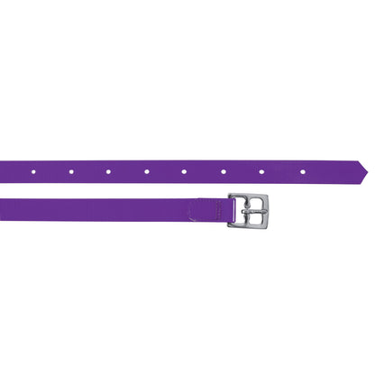 BIOTHANE STIRRUP STRAPS