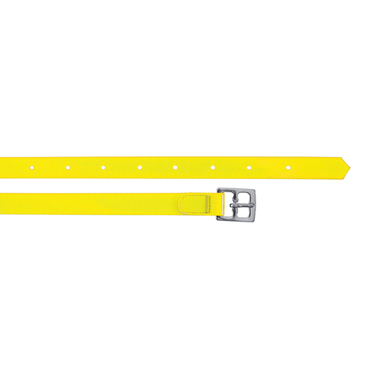 BIOTHANE STIRRUP STRAPS