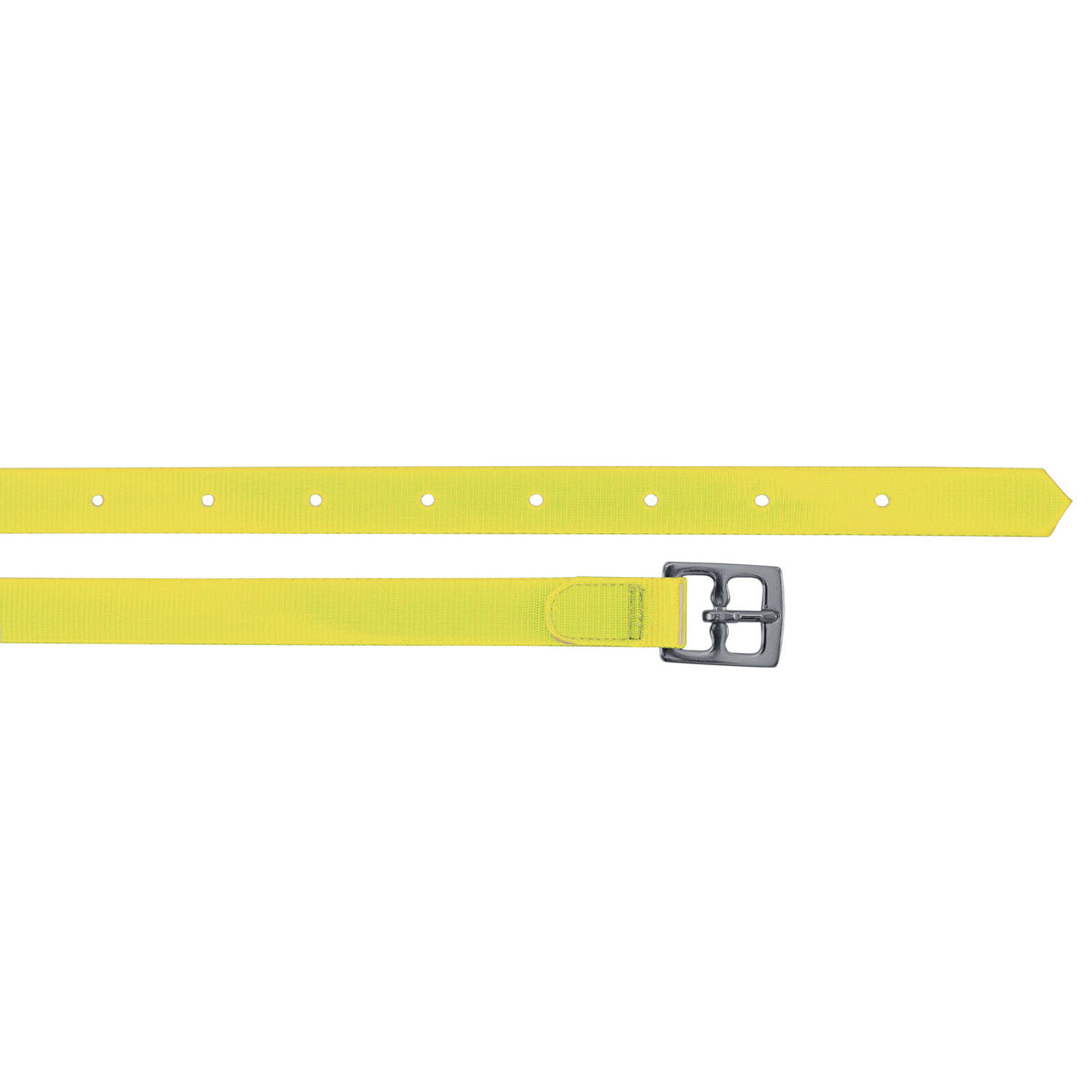 BIOTHANE STIRRUP STRAPS
