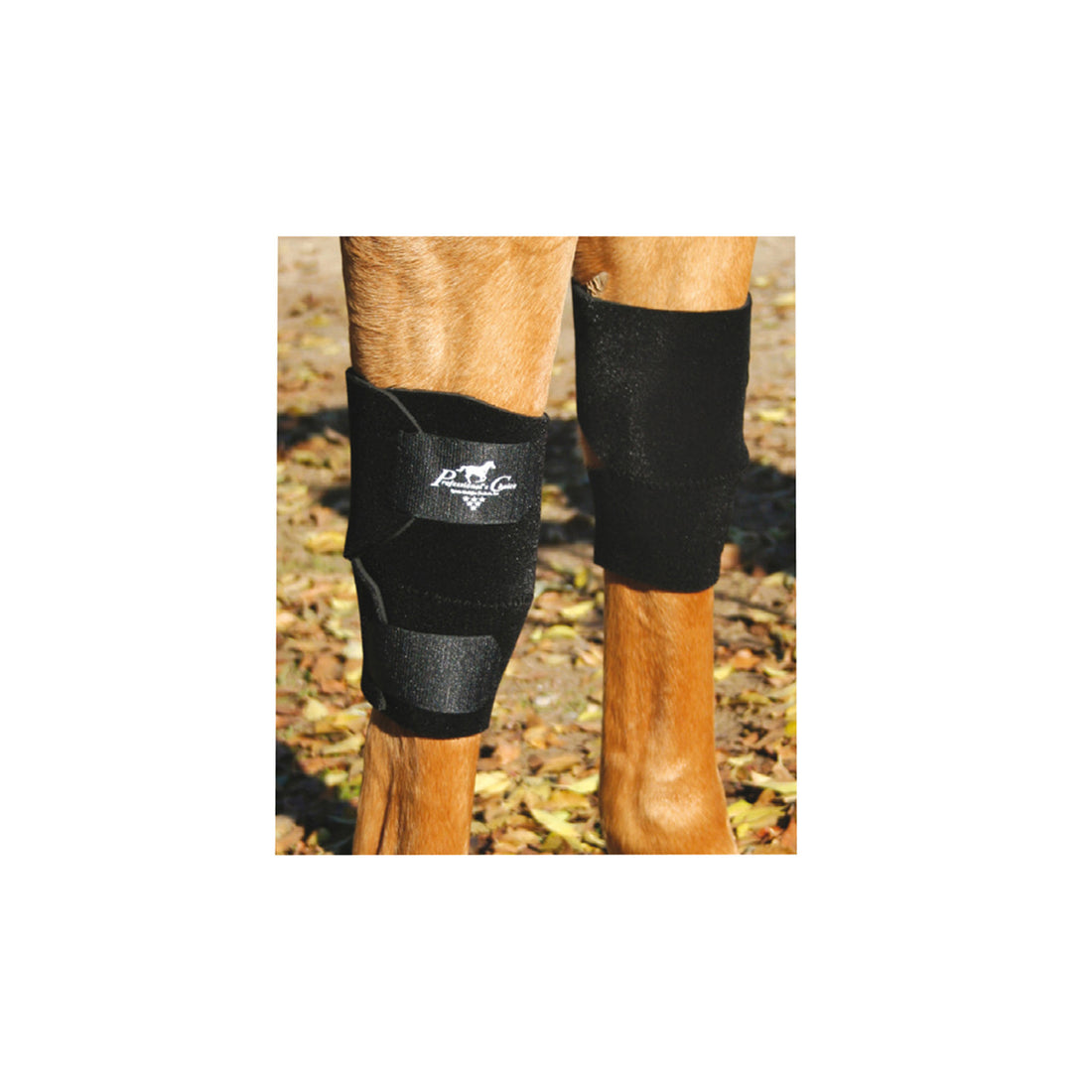 KNEE BOOTS KB101.