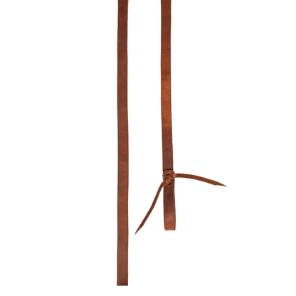HARNESS REINS.
