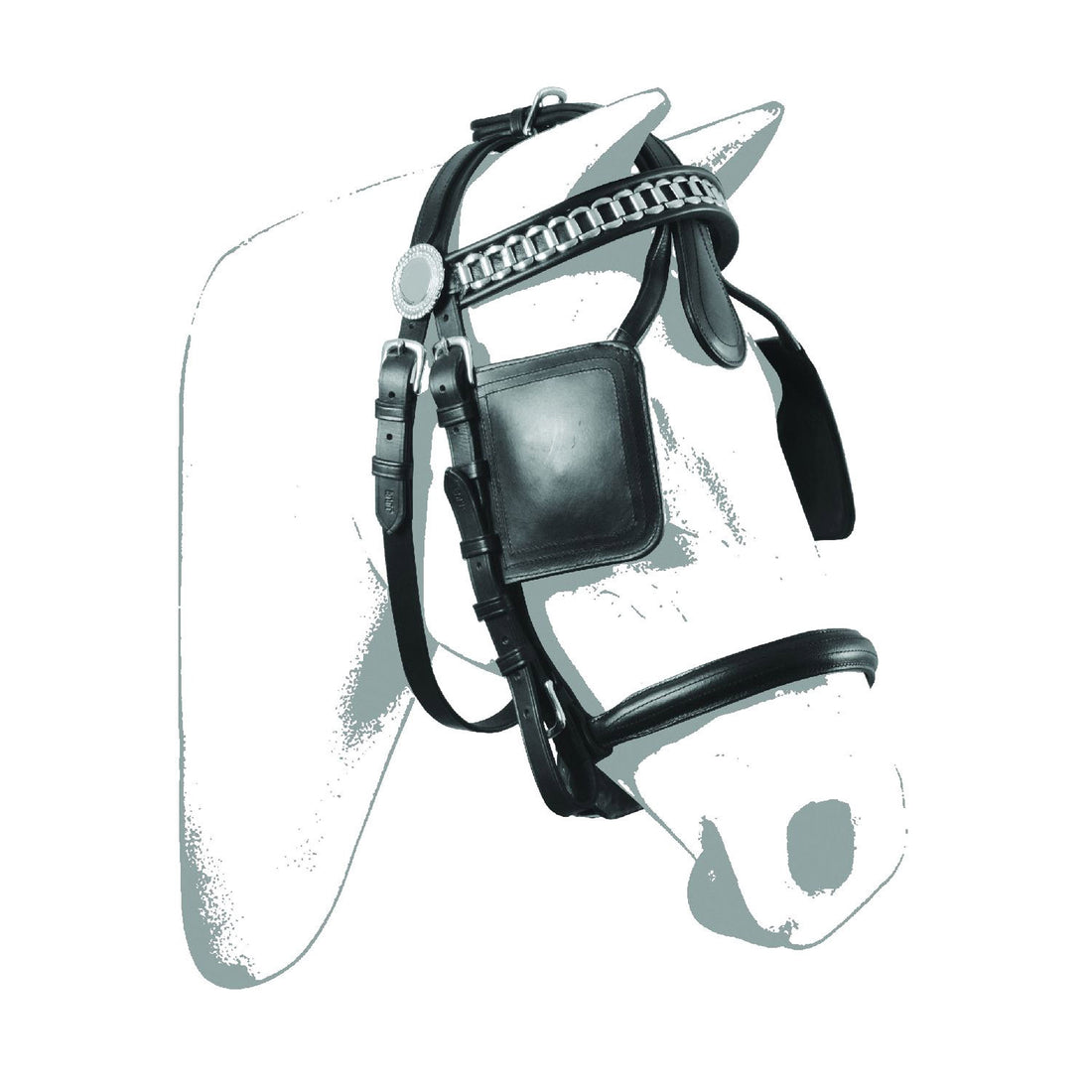 LUXURY BRIDLE FOR HARNESS.