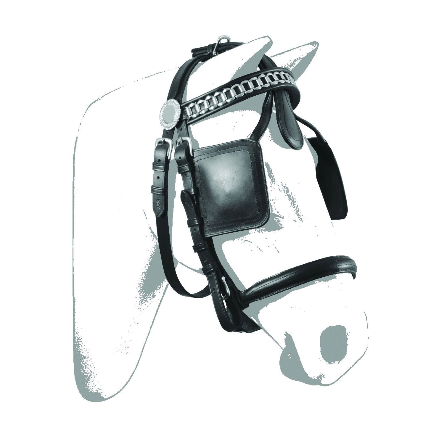 LUXURY BRIDLE FOR HARNESS.