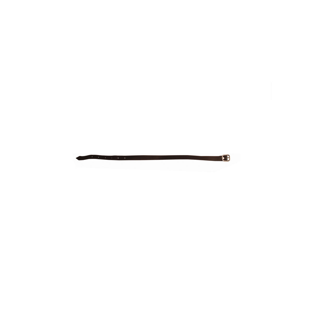 LEATHER SPUR STRAPS