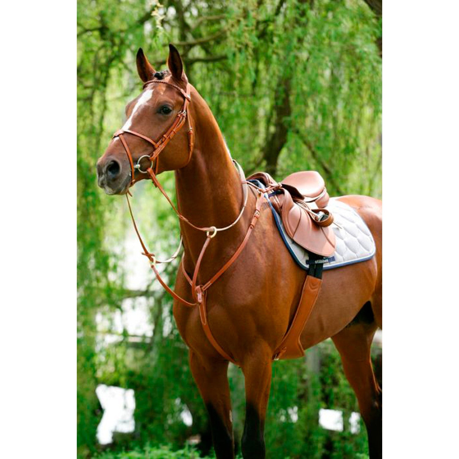 BREASTPLATE WITH RUNNING ATTACHMENT.